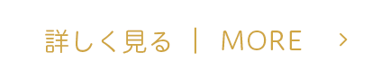 詳しく見る｜MORE