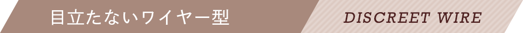 目立たないワイヤー型 DUSCREET WIRE