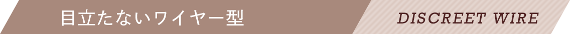 目立たないワイヤー型 DUSCREET WIRE